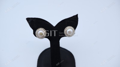 ต่างหูจั่นมะพร้าว